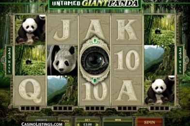 Untamed Giant Panda